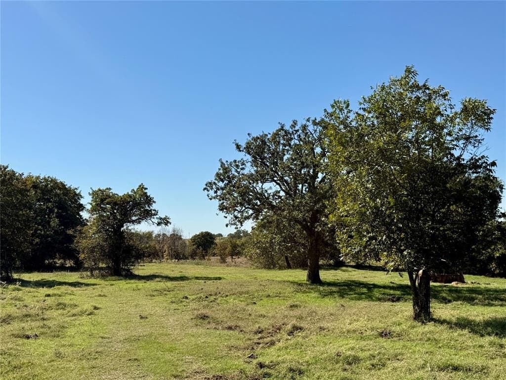 76.52 acres in Montague County - photo 4