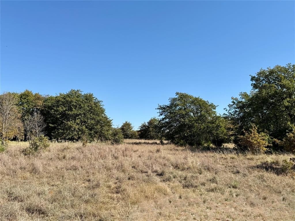 76.52 acres in Montague County - photo 6