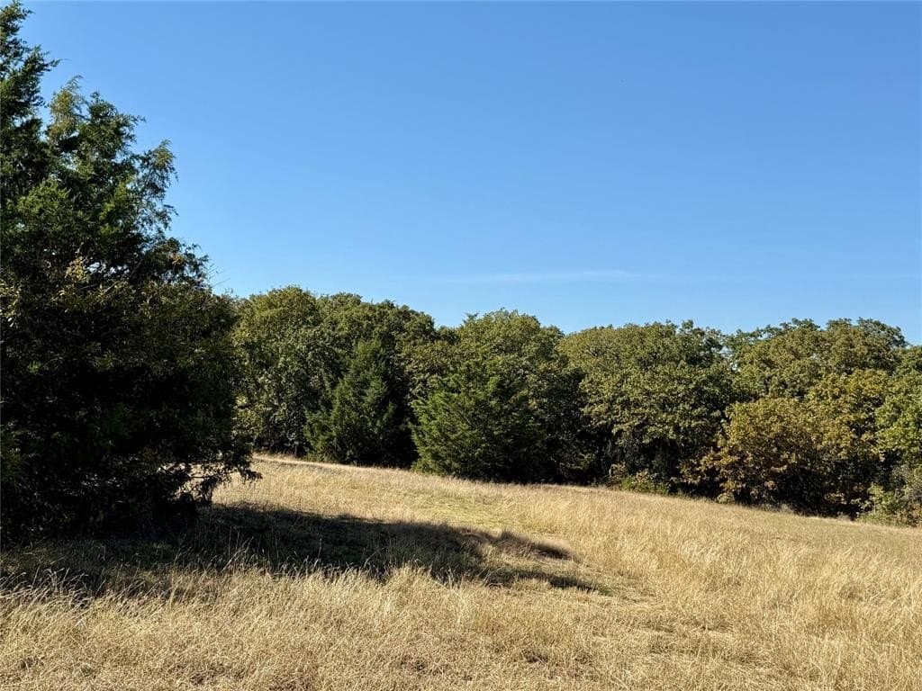 76.52 acres in Montague County - photo 23