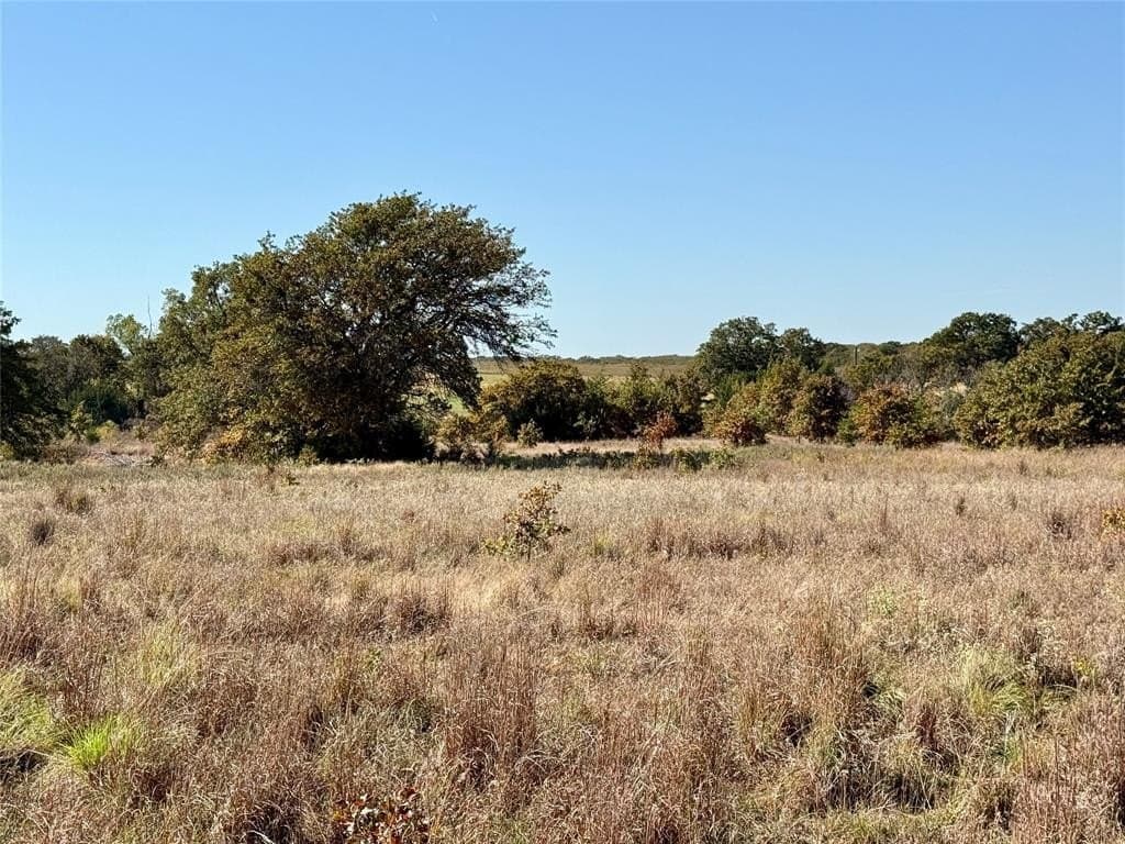 76.52 acres in Montague County - photo 21