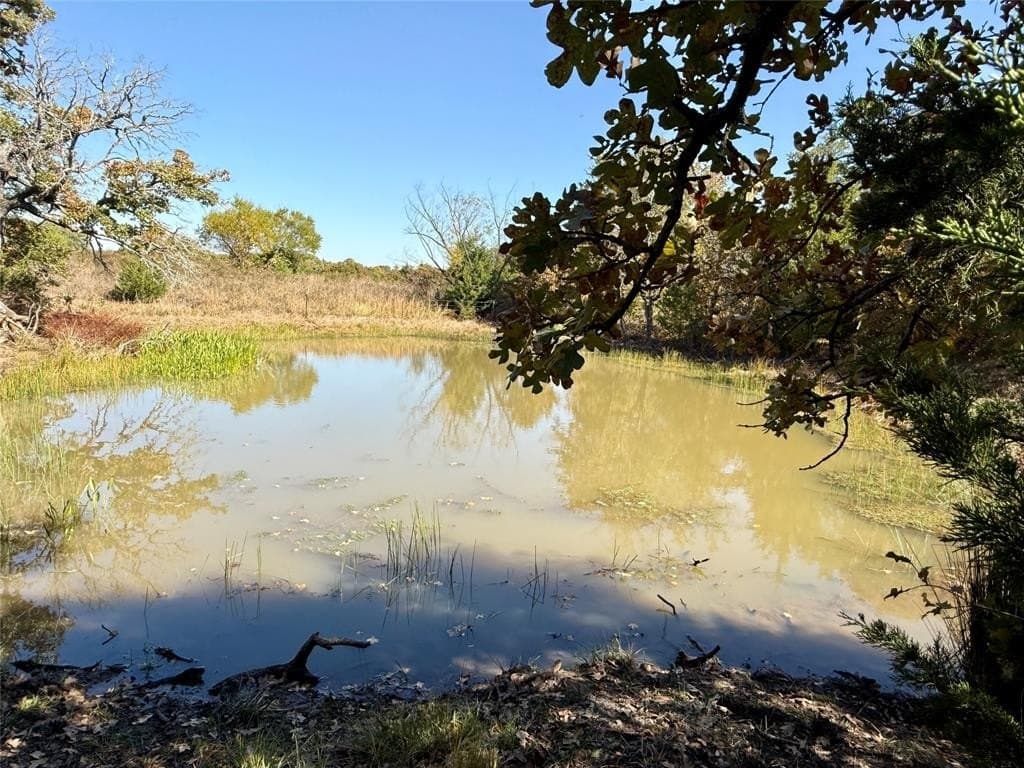 76.52 acres in Montague County - photo 17