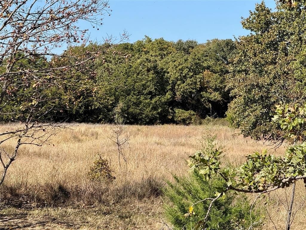 76.52 acres in Montague County - photo 31