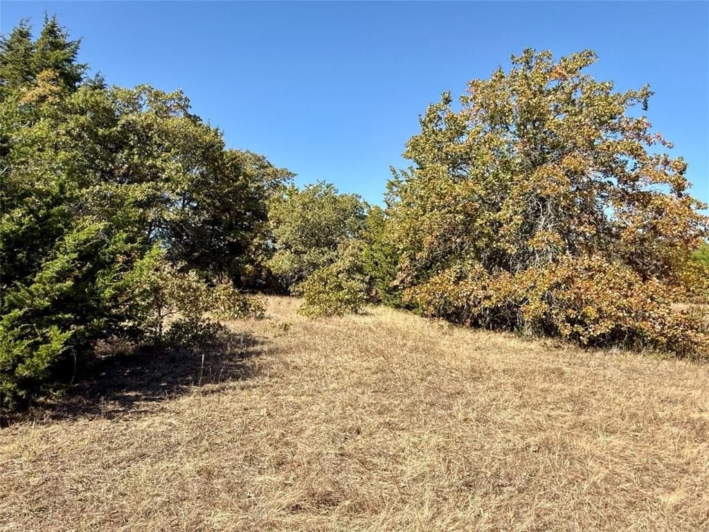76.52 acres in Montague County - photo 15