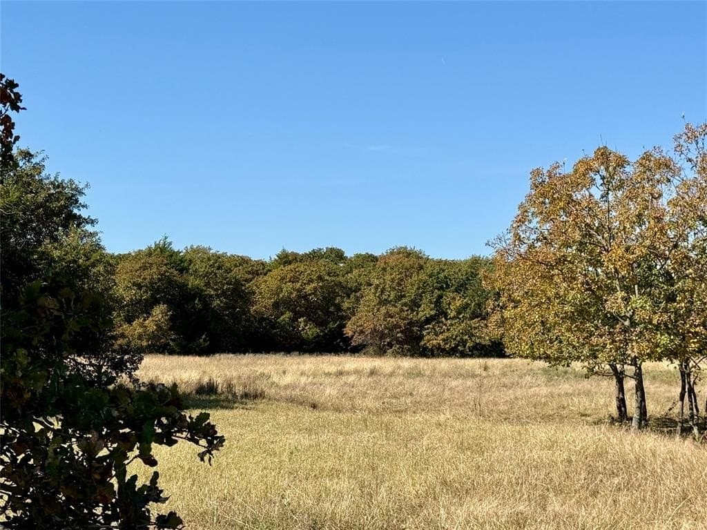76.52 acres in Montague County - photo 25