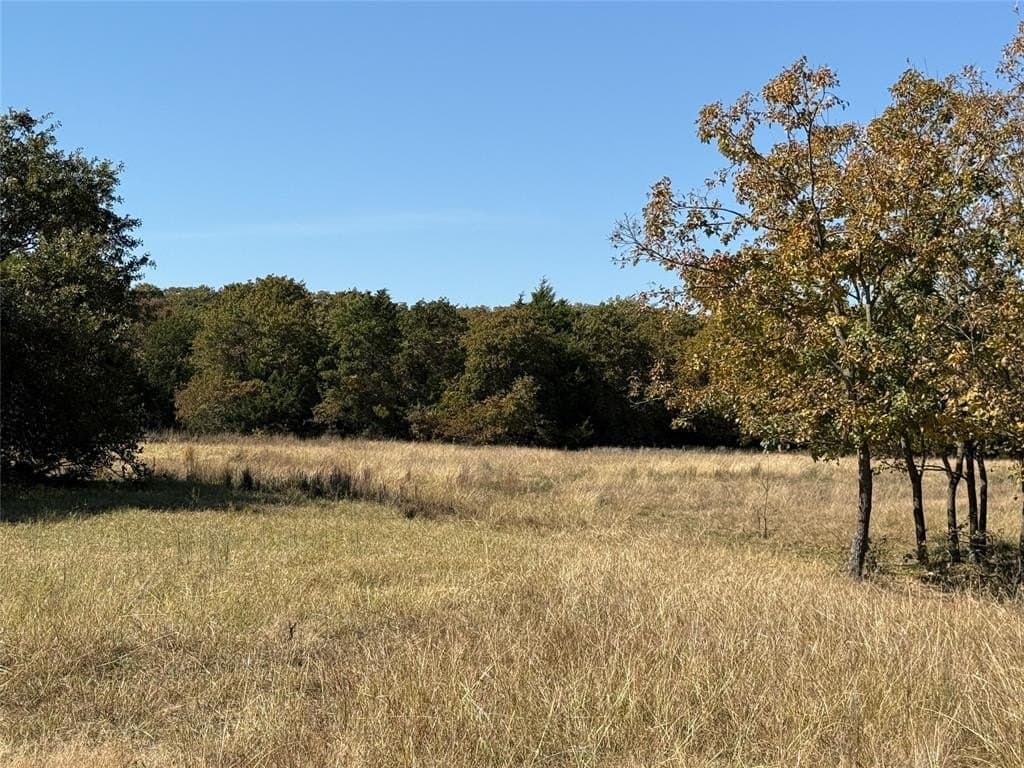 76.52 acres in Montague County - photo 30