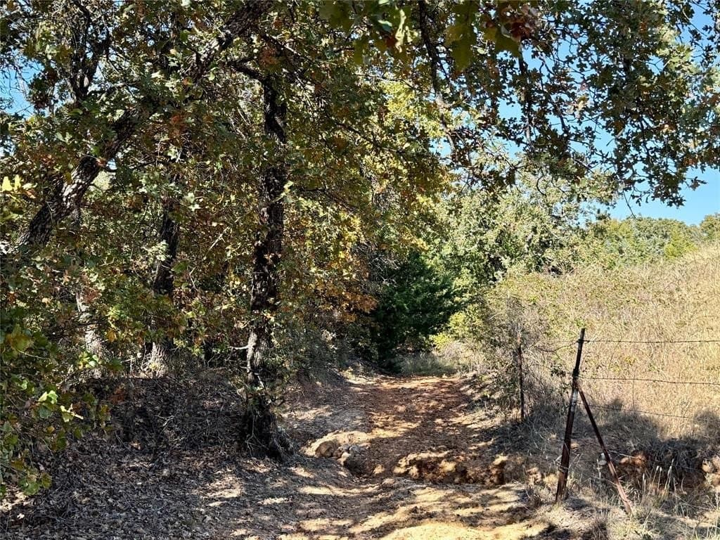 76.52 acres in Montague County - photo 32