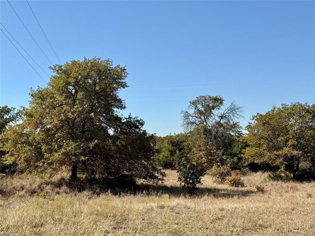 76.52 acres in Montague County - photo 2
