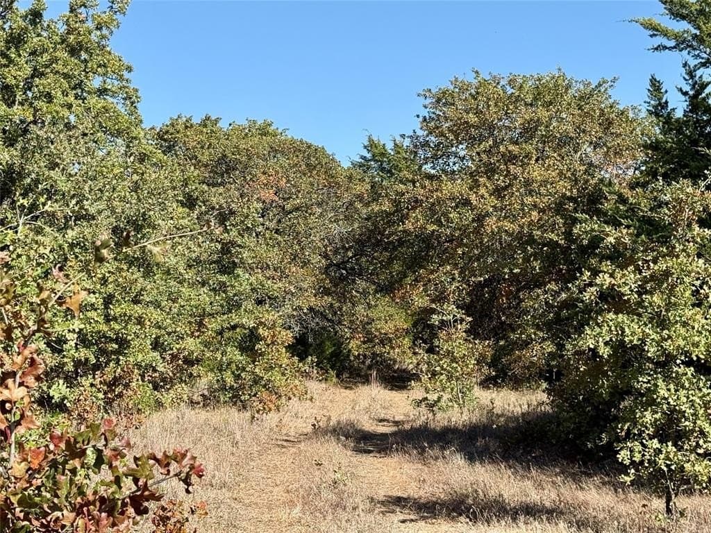 76.52 acres in Montague County - photo 9