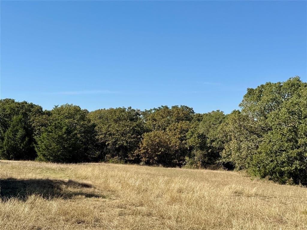 76.52 acres in Montague County - photo 18