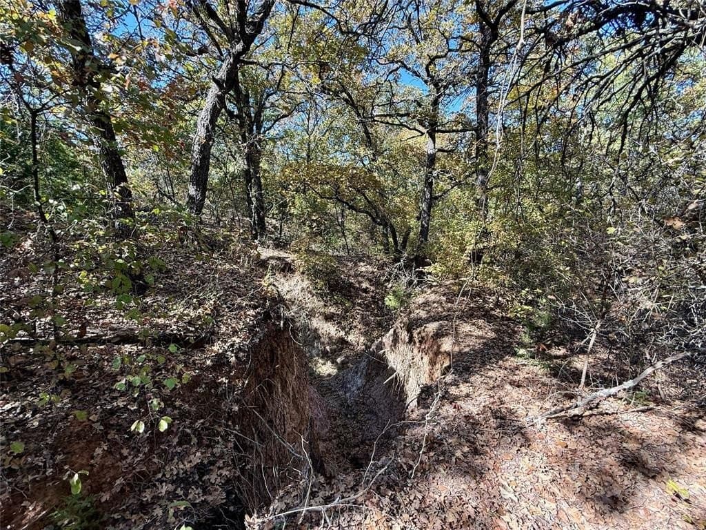 76.52 acres in Montague County - photo 33
