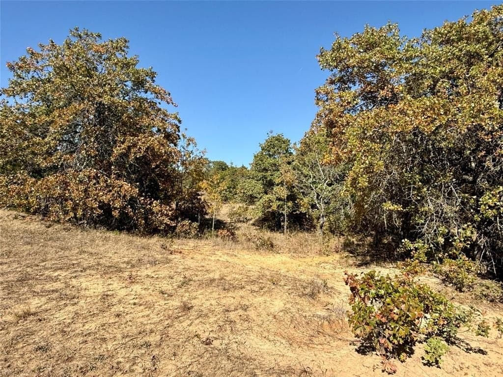 76.52 acres in Montague County - photo 16
