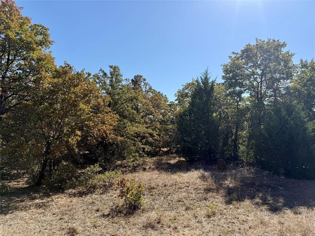 76.52 acres in Montague County - photo 19