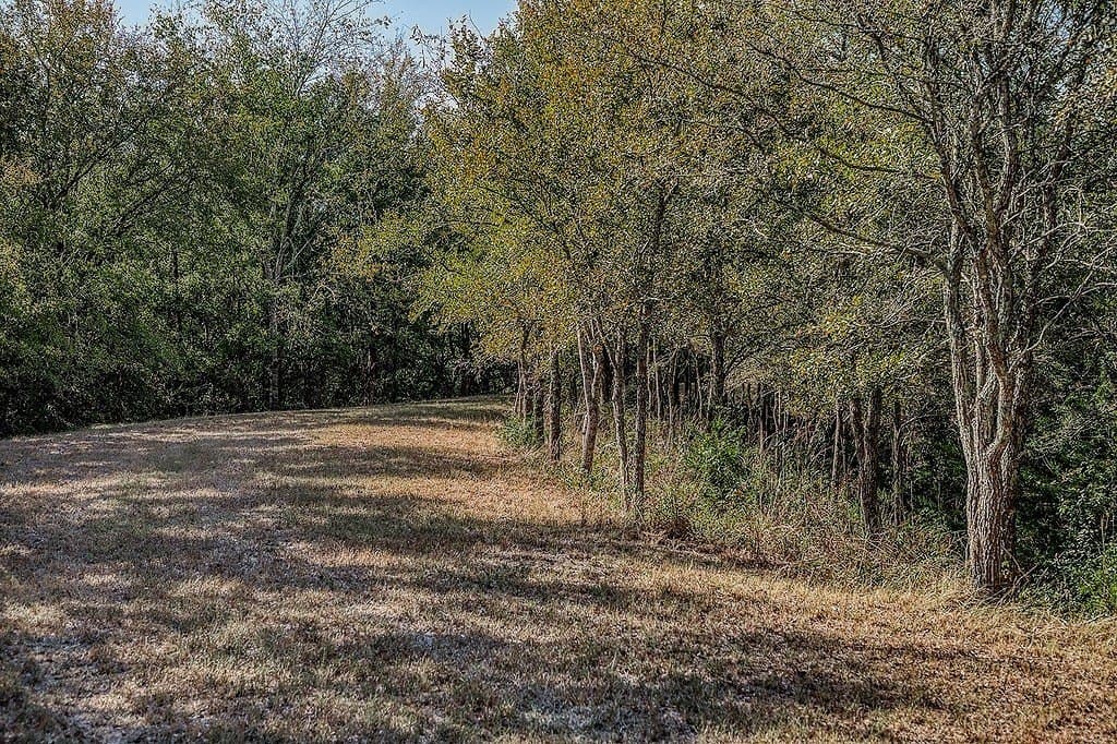 19.93 acres in Fayette County - photo 10