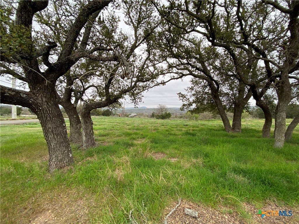 0.32 acres in Burnet County - photo 3