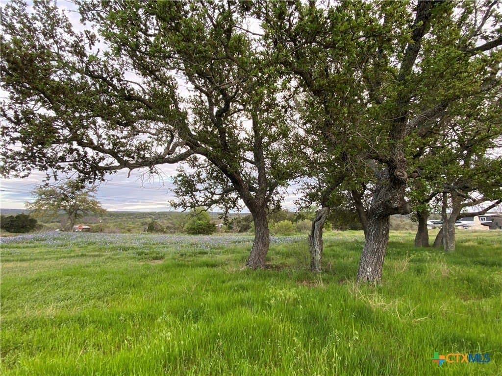 303 S Oak Lane lot: 509