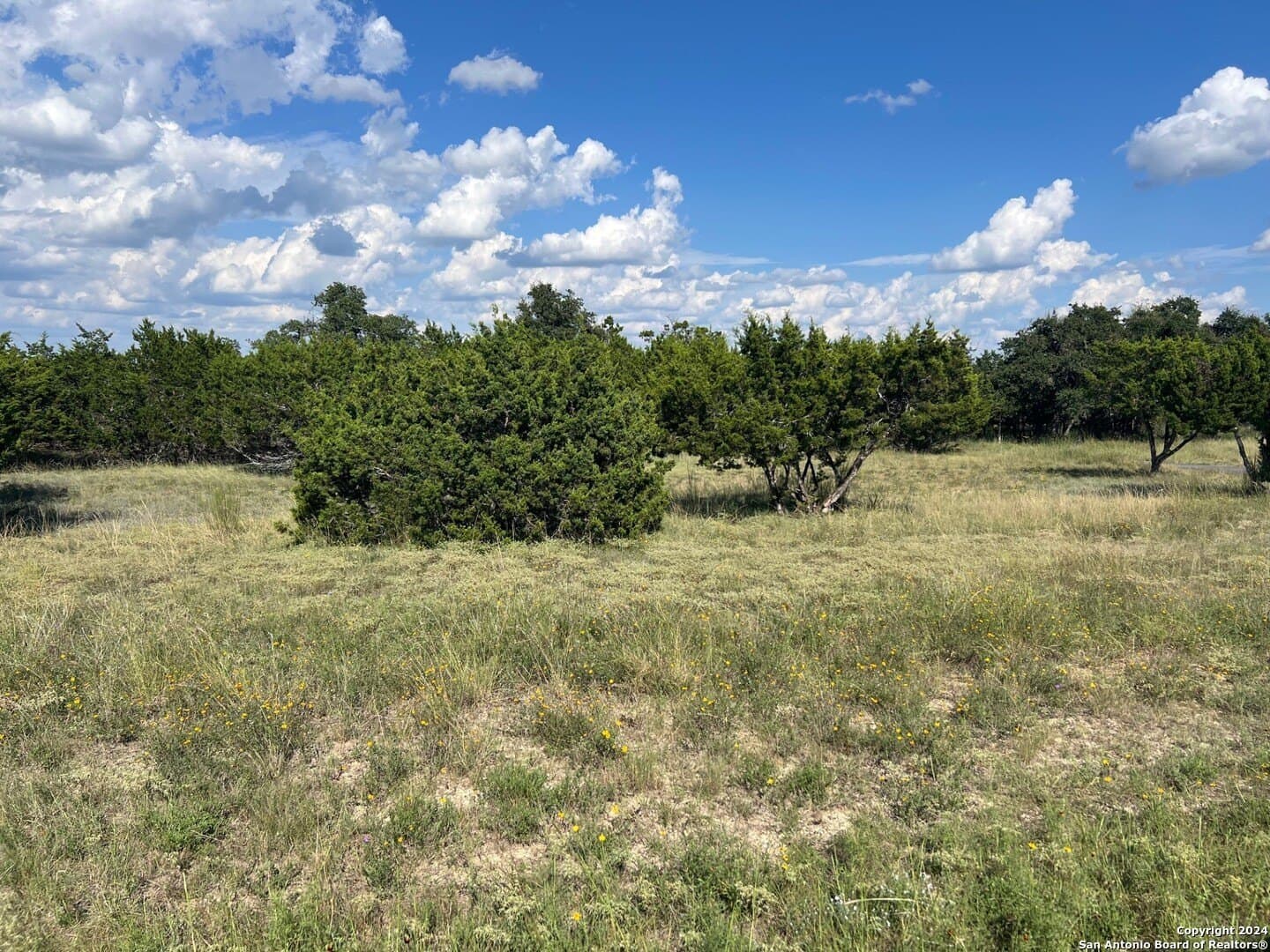 3 acres in Comal County - photo 2
