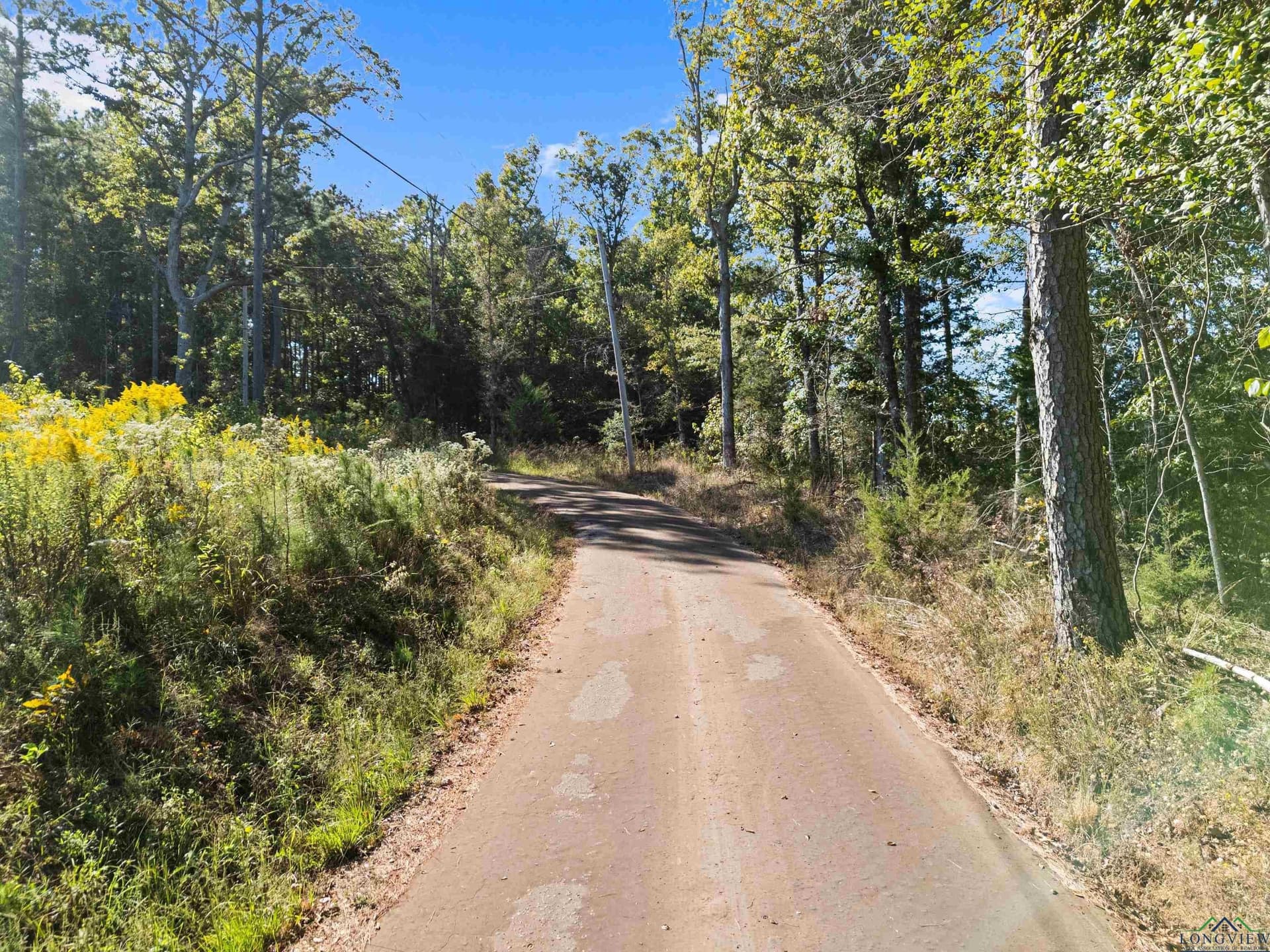 36.71 acres in Texas County - photo 21