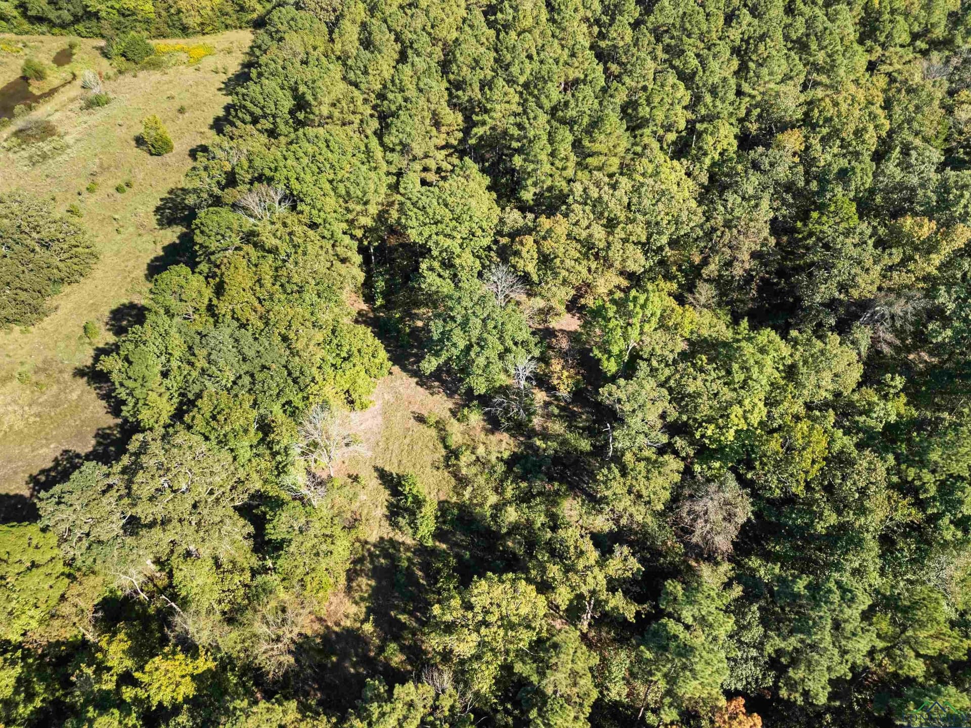36.71 acres in Texas County - photo 14