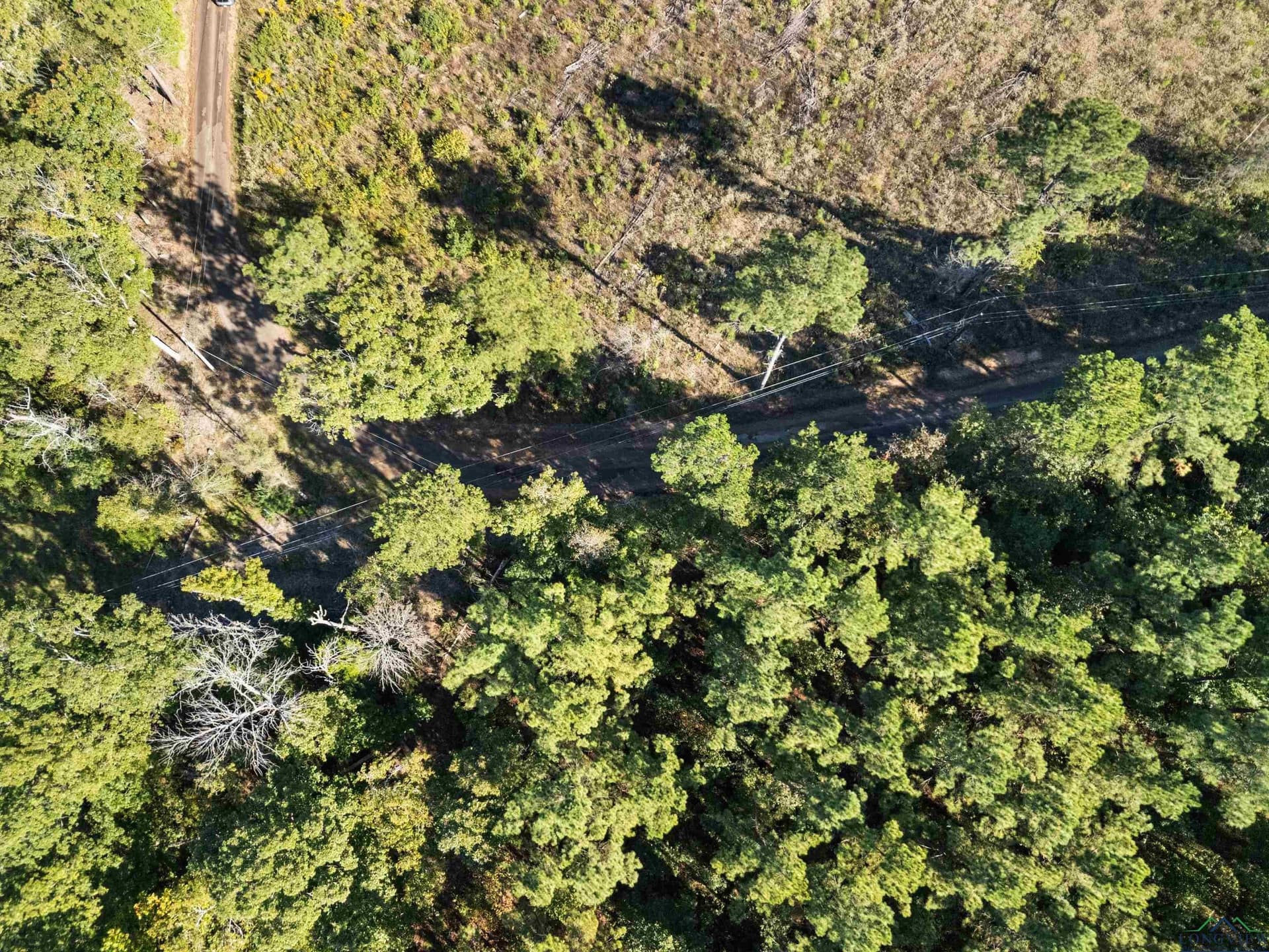 36.71 acres in Texas County - photo 2