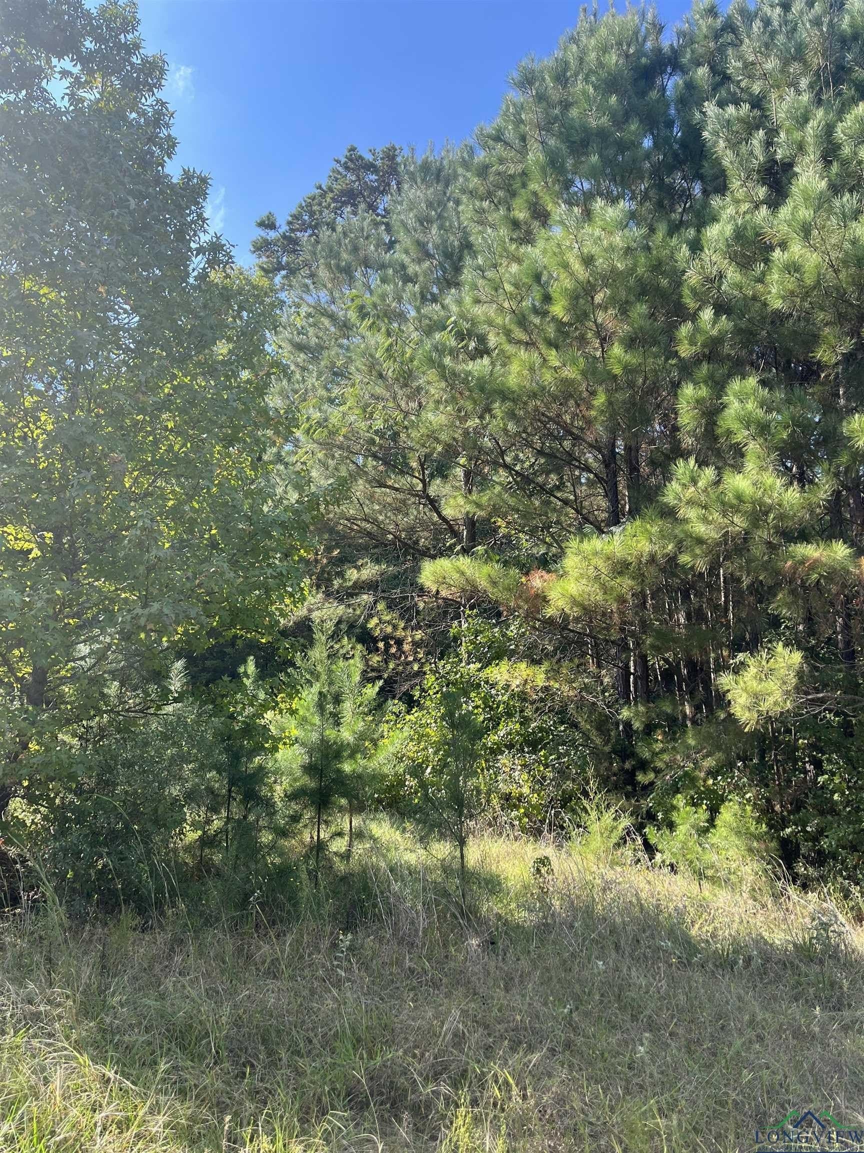36.71 acres in Texas County - photo 18
