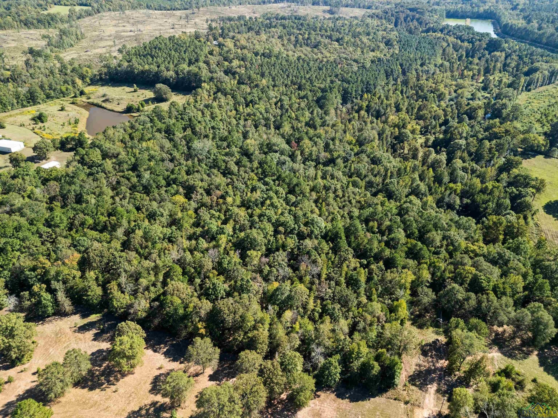 36.71 acres in Texas County - photo 9