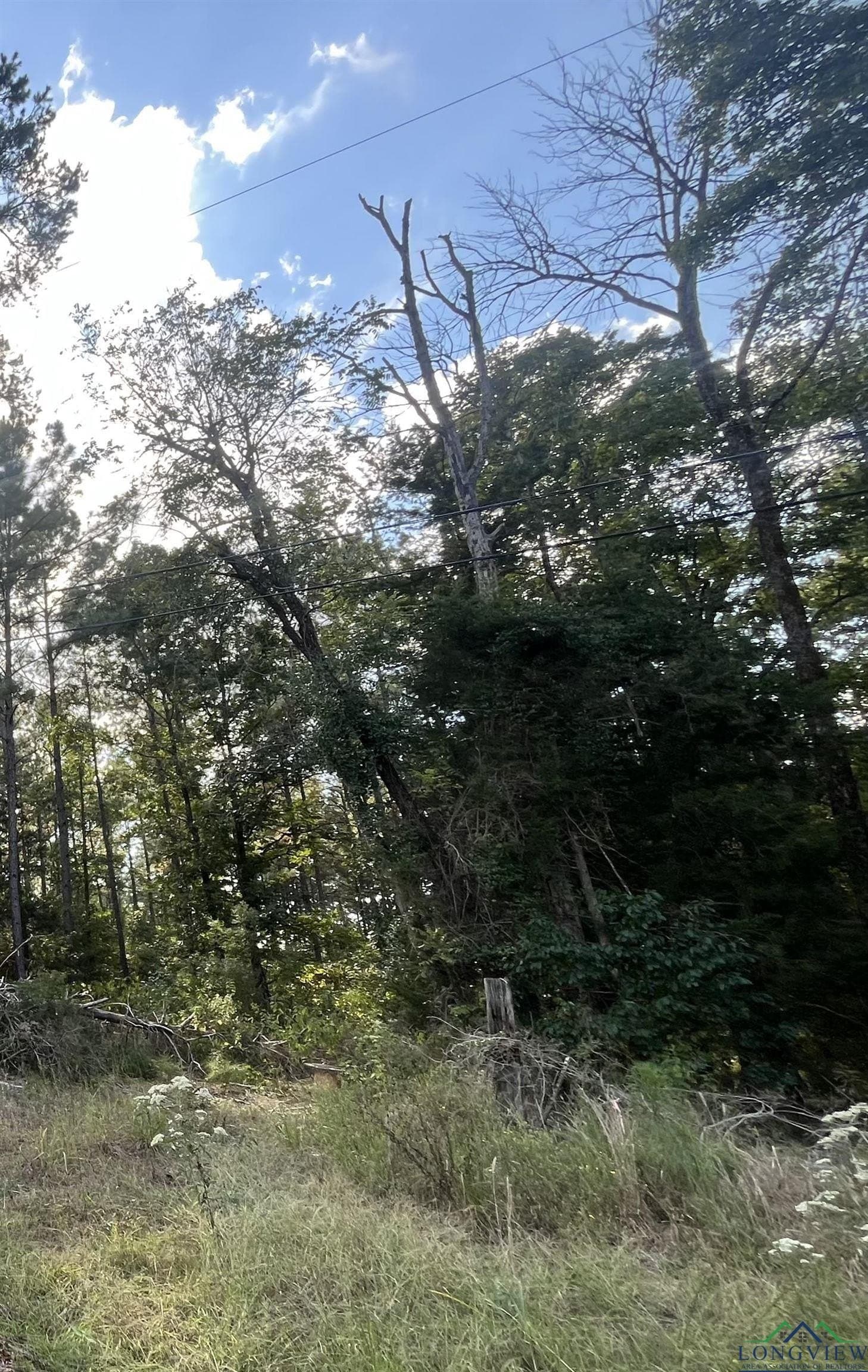 36.71 acres in Texas County - photo 17