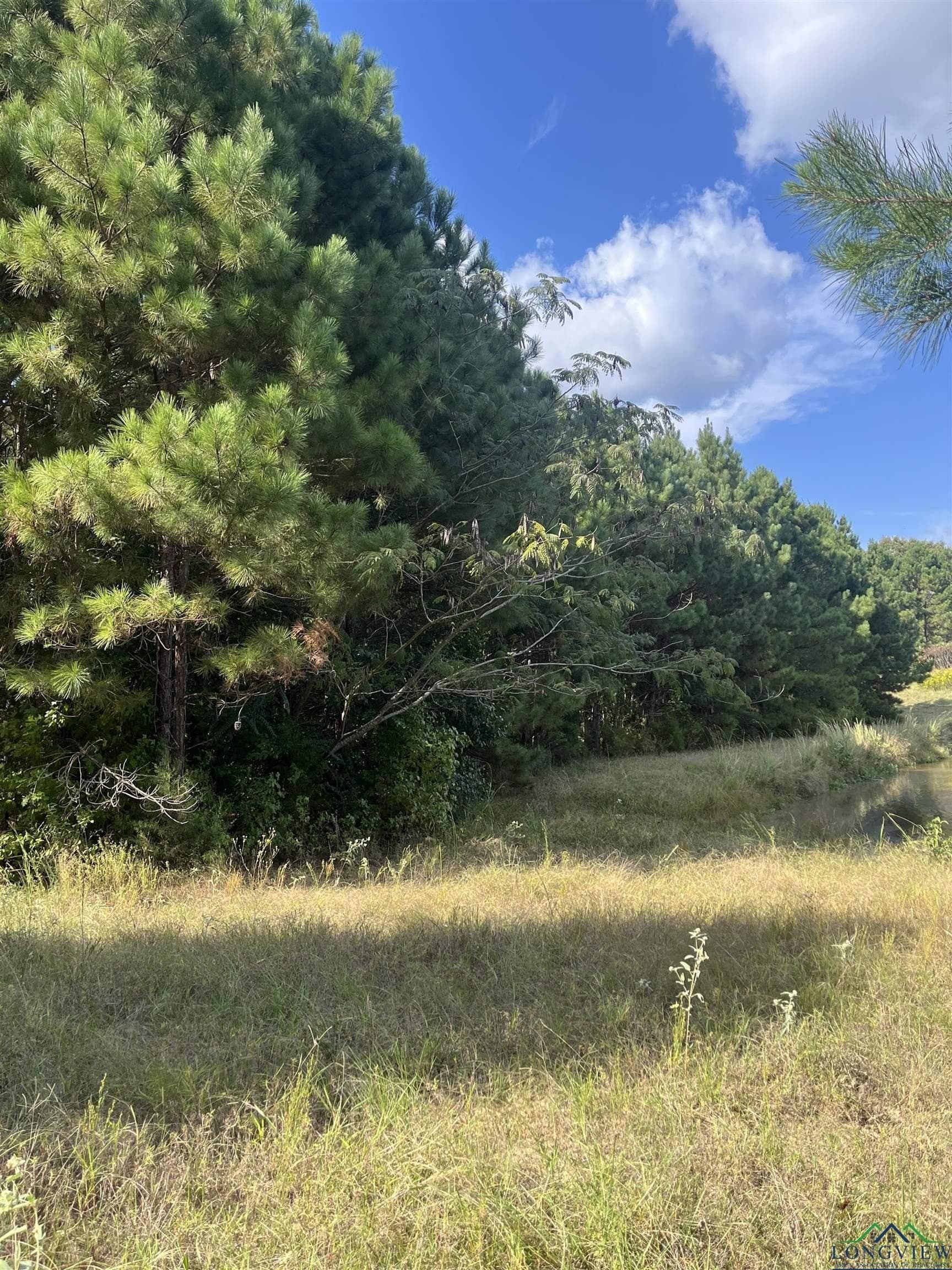 36.71 acres in Texas County - photo 20