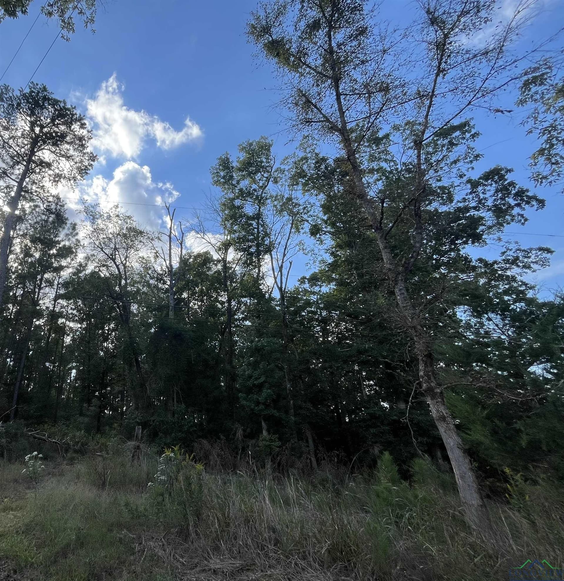 36.71 acres in Texas County - photo 16