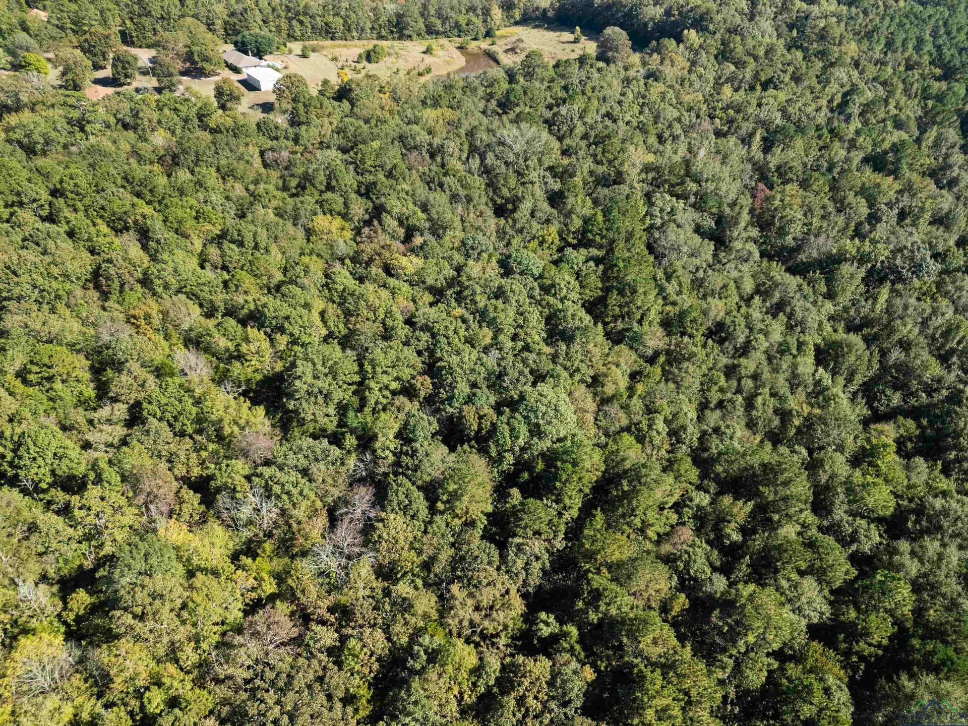 36.71 acres in Texas County - photo 15