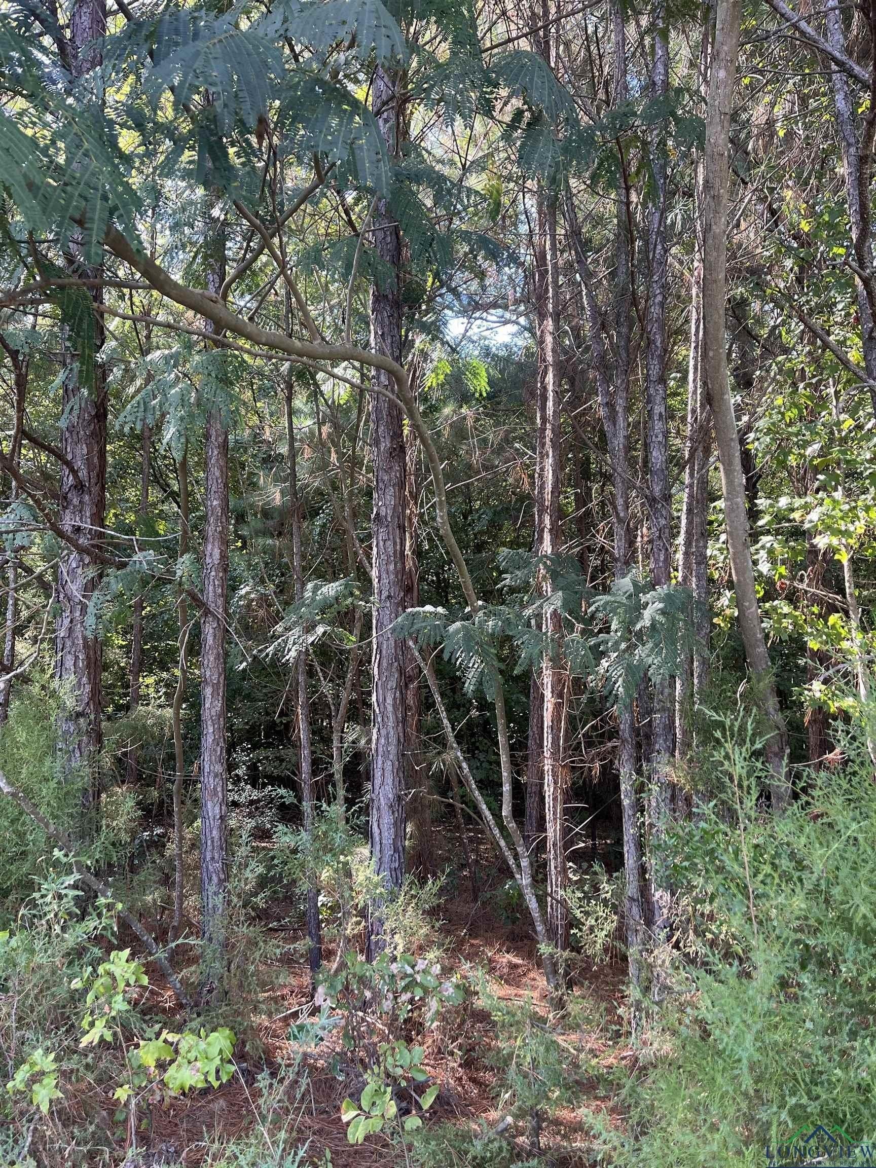 36.71 acres in Texas County - photo 19