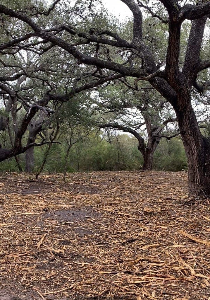 13.53 acres in Texas County - photo 2