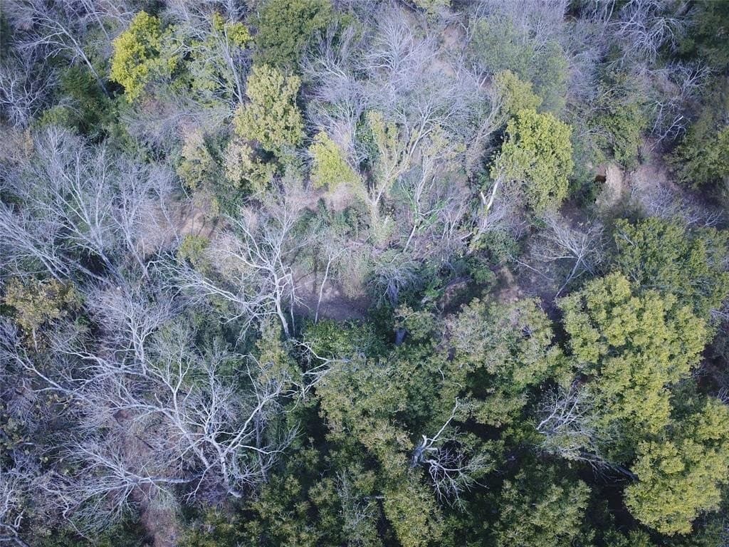 0.97 acres in Cooke County - photo 3