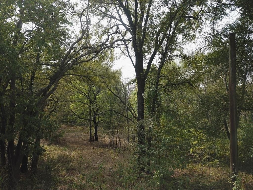 0.97 acres in Cooke County - photo 15