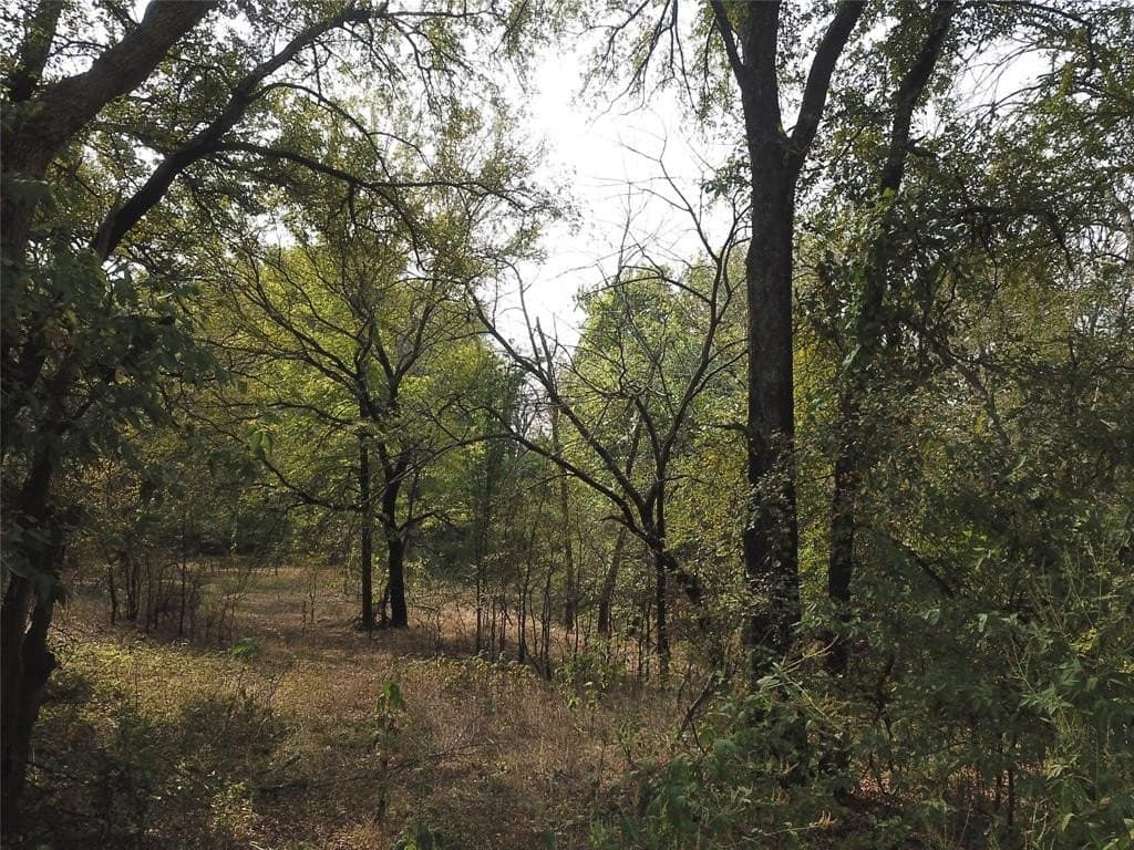 0.97 acres in Cooke County - photo 14