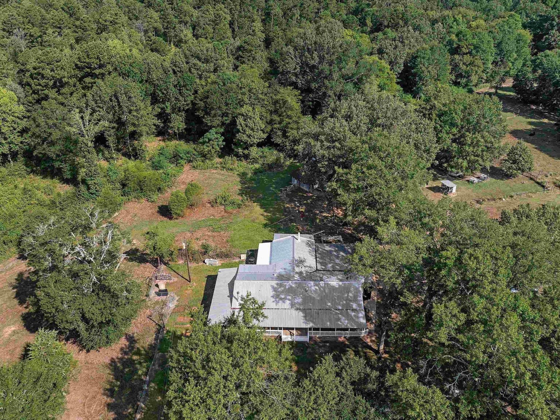 19.6 acres in Panola County - photo 3