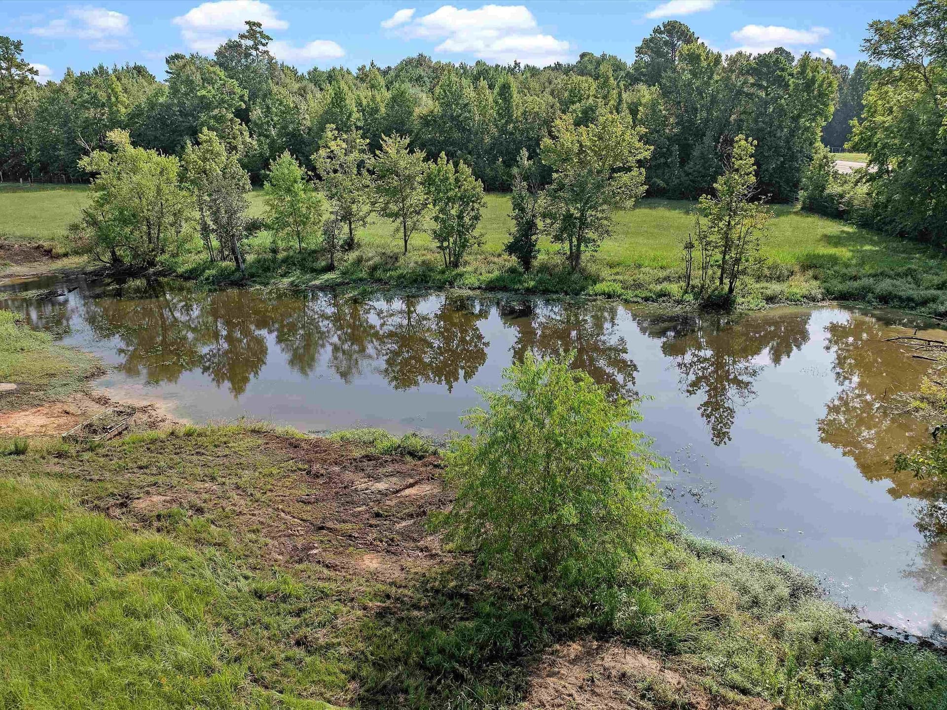 19.6 acres in Panola County - photo 5