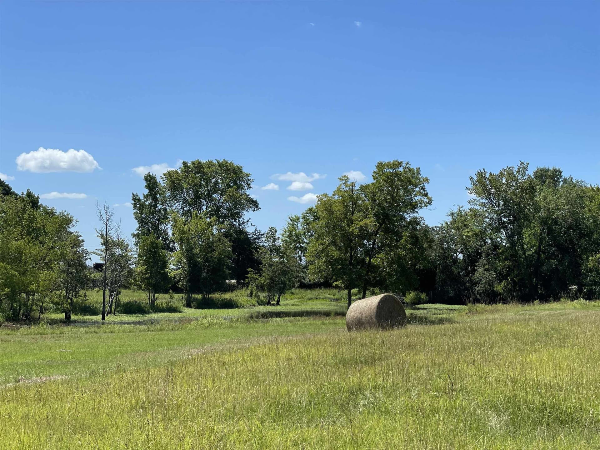 19.6 acres in Panola County - photo 38
