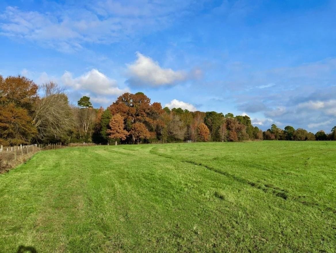 19.6 acres in Panola County - photo 36