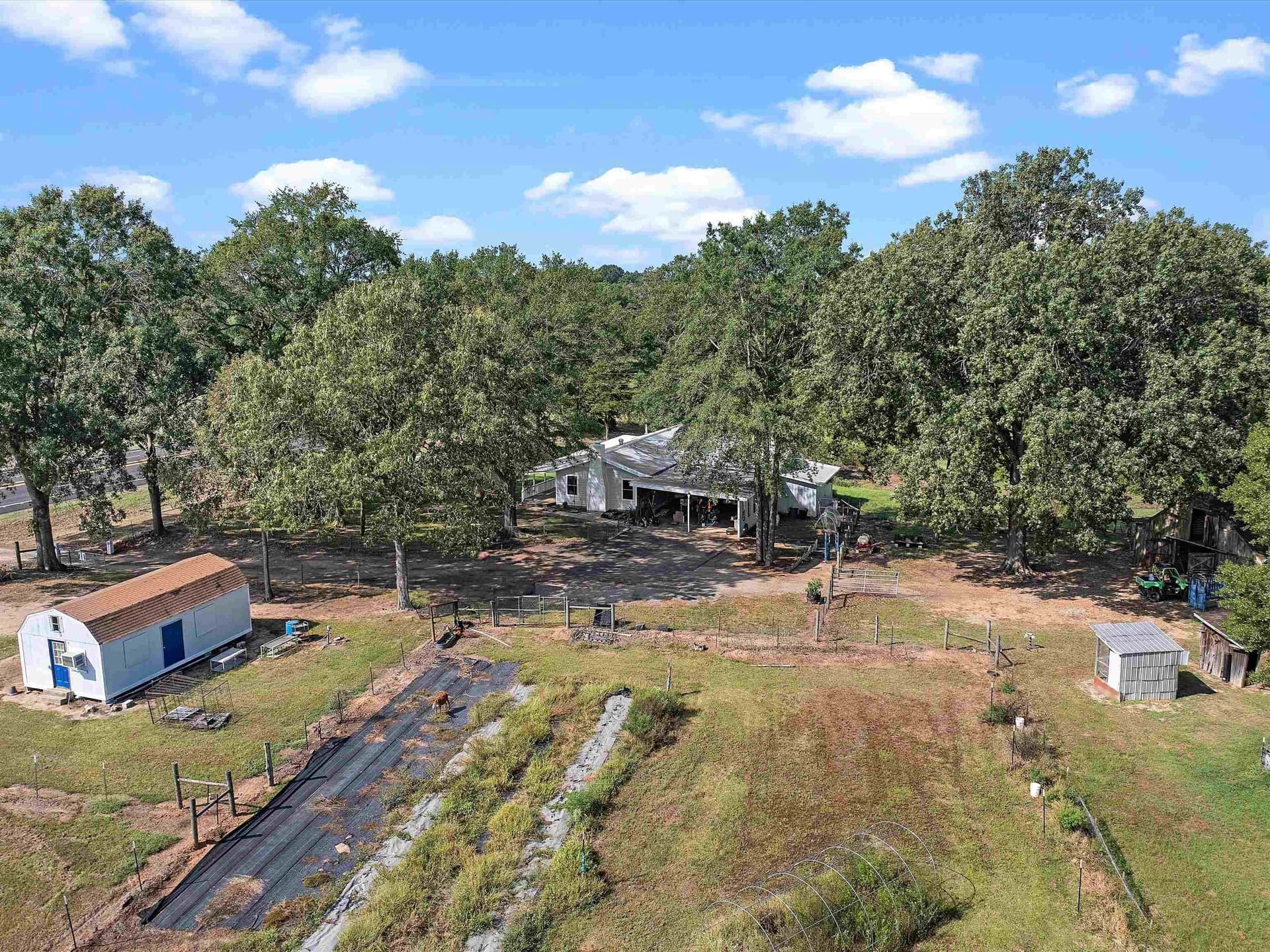19.6 acres in Panola County - photo 6