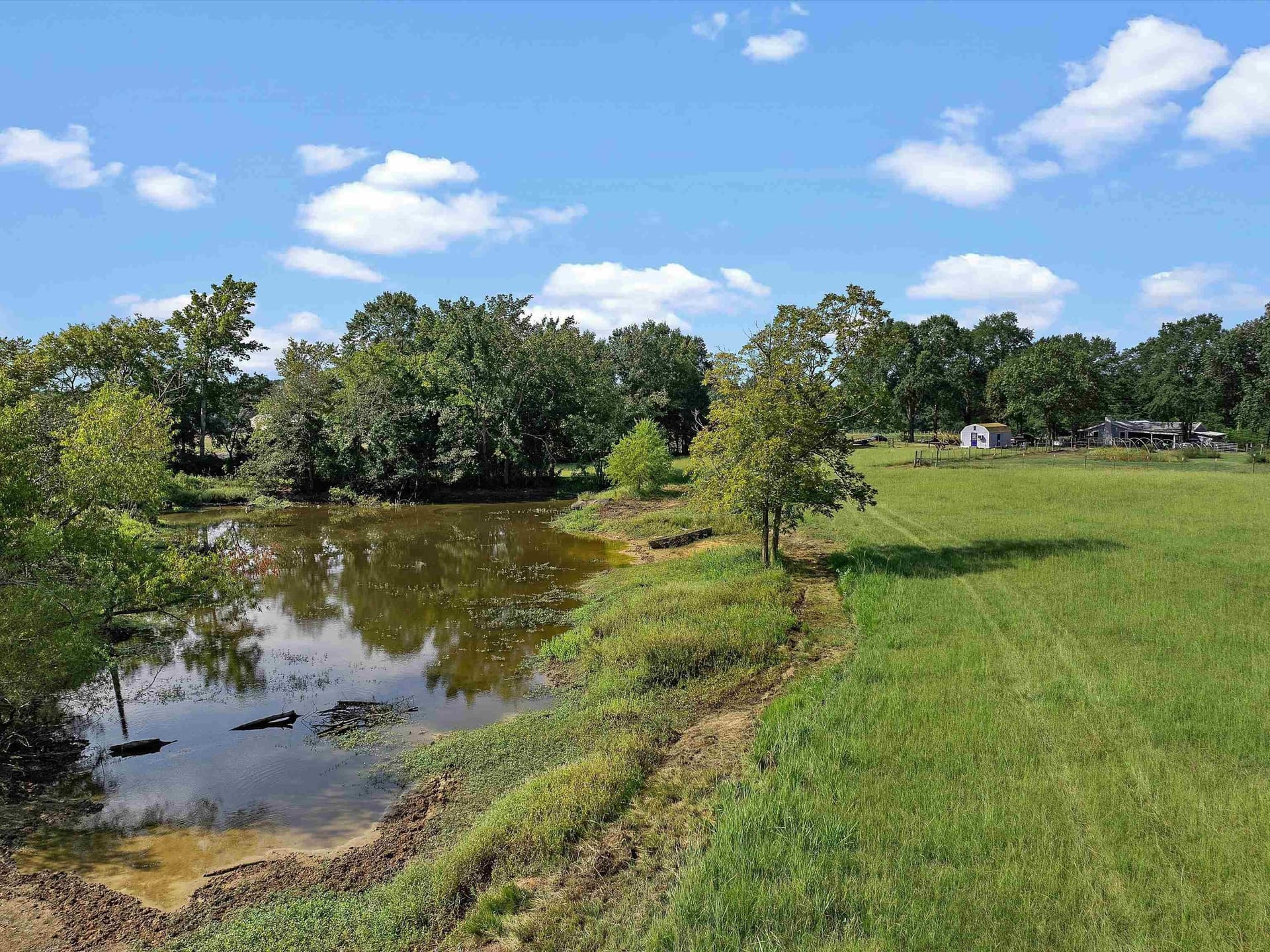 19.6 acres in Panola County - photo 34