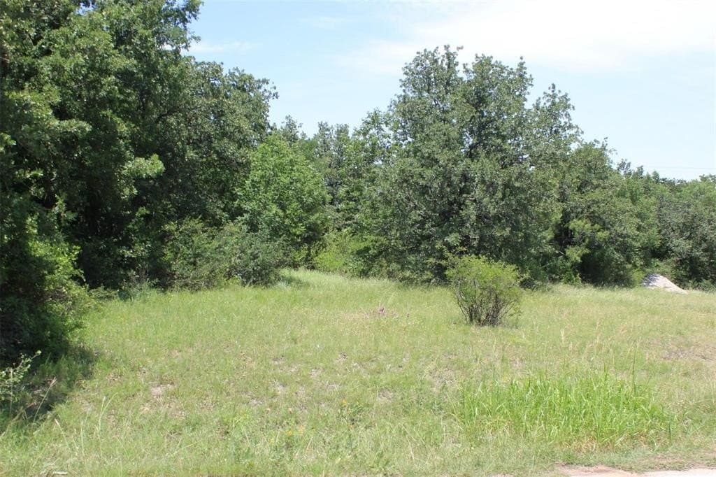 0.25 acres in Wise County - photo 3