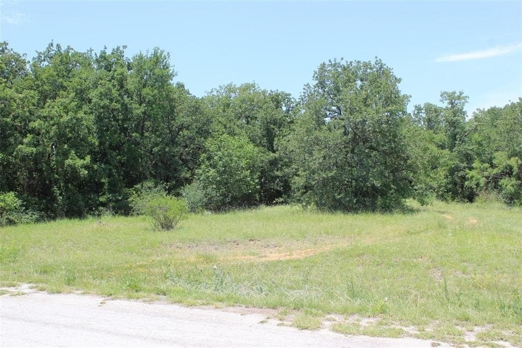 0.25 acres in Wise County - photo 2