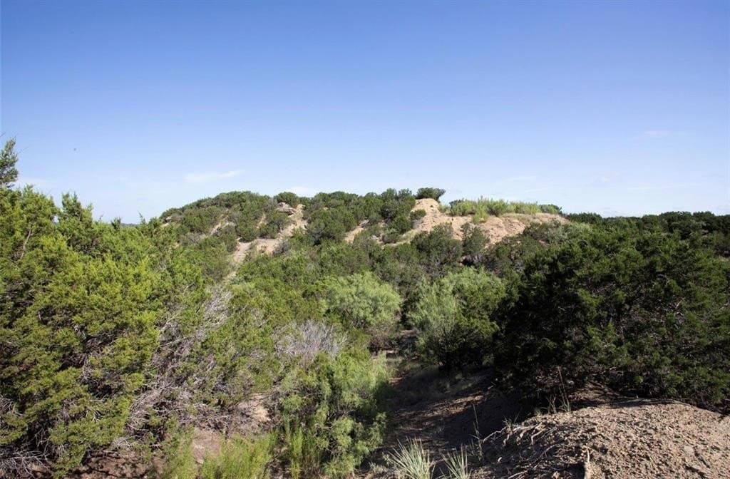 1.09 acres in Palo Pinto County - photo 17