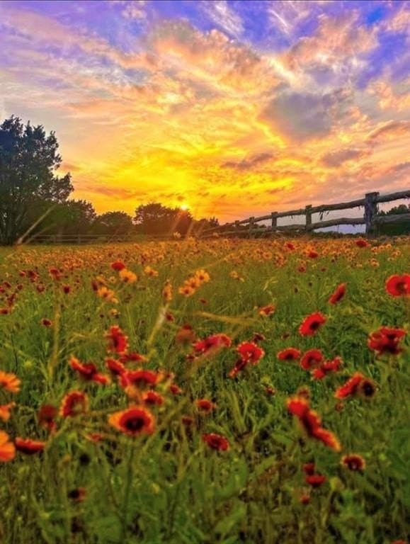 1.09 acres in Palo Pinto County - photo 24