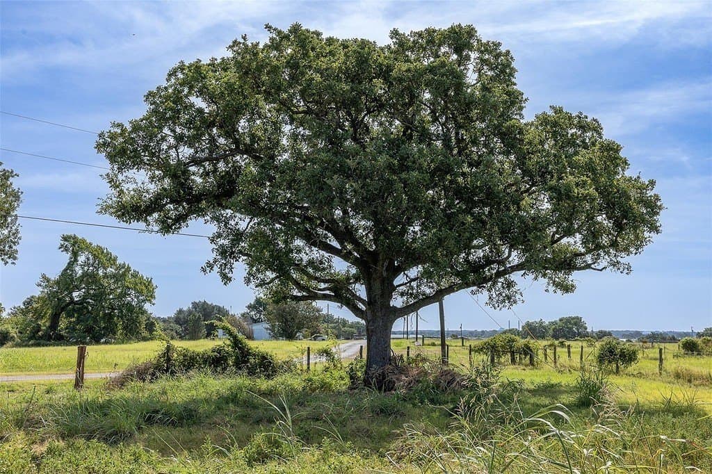 0.72 acres in Limestone County - photo 4