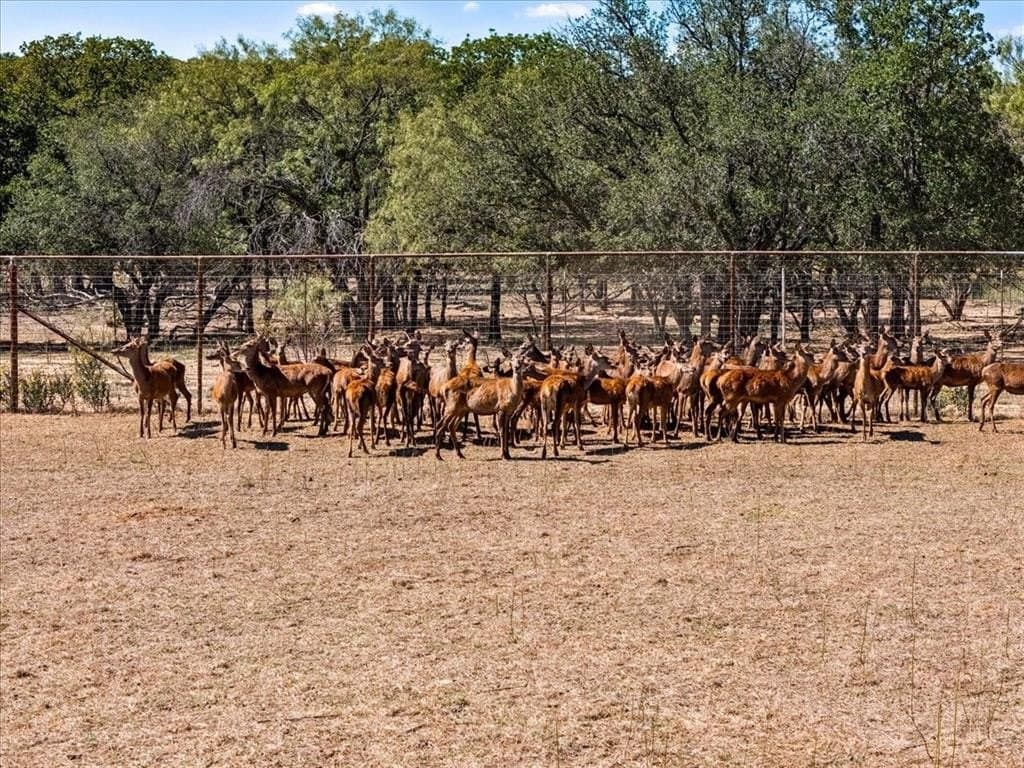 9.95 acres in Palo Pinto County - photo 8