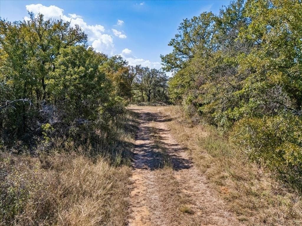 9.95 acres in Palo Pinto County - photo 15