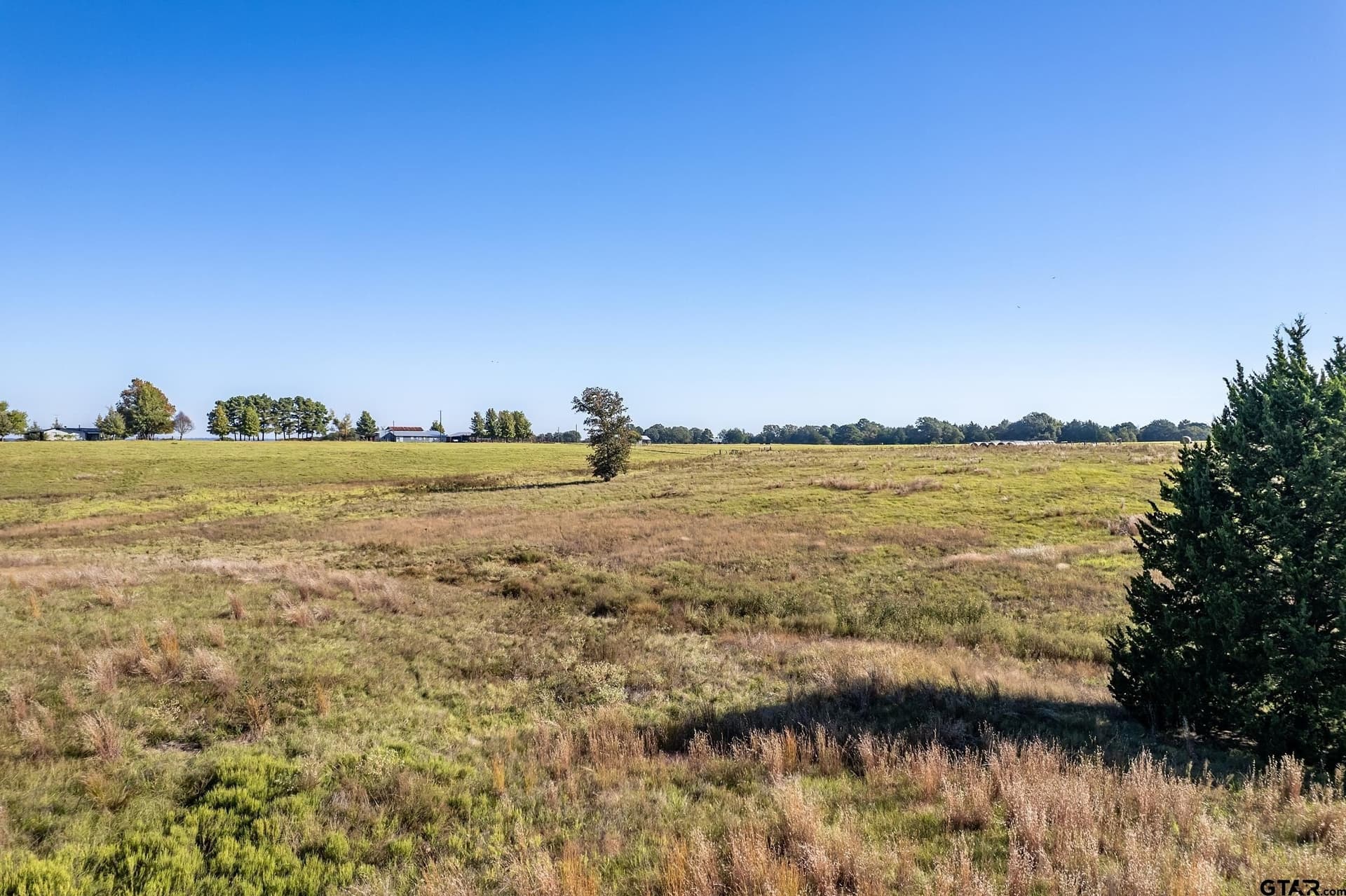 14.64 acres in Henderson County - photo 6