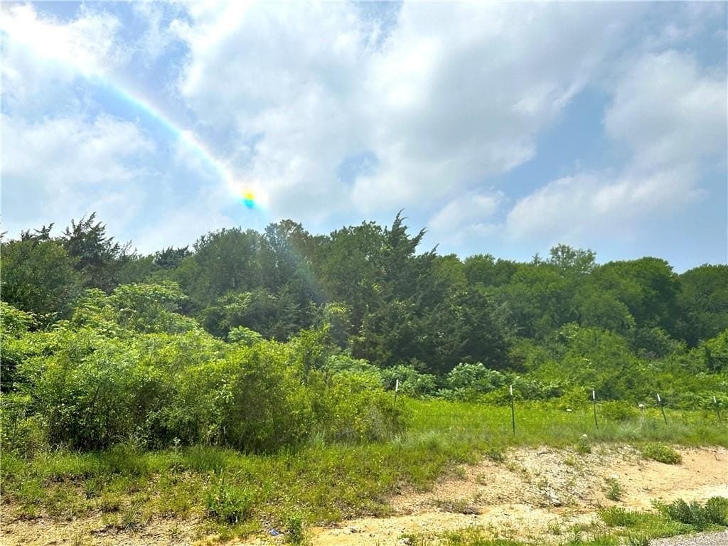 13.2 acres in McLennan County - photo 6