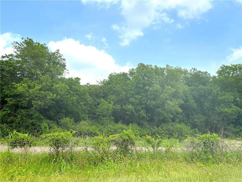 13.2 acres in McLennan County - photo 5
